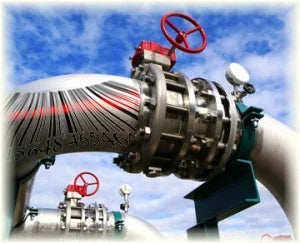 A maintenance inspection reporting system